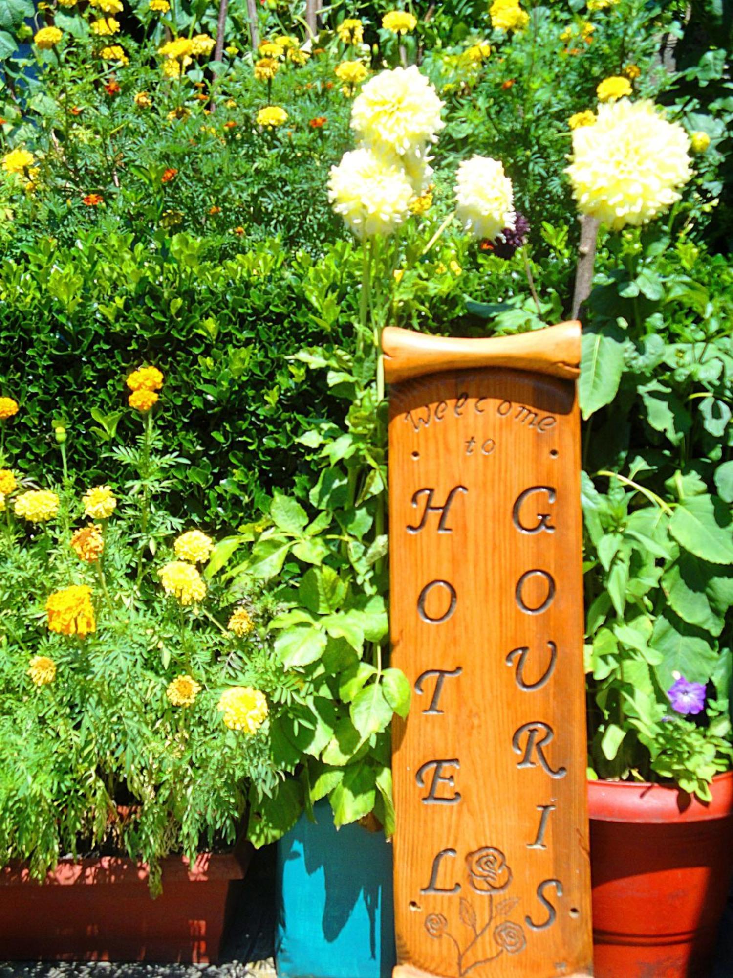 Guesthouse Gouris Tsepelovo Eksteriør bilde